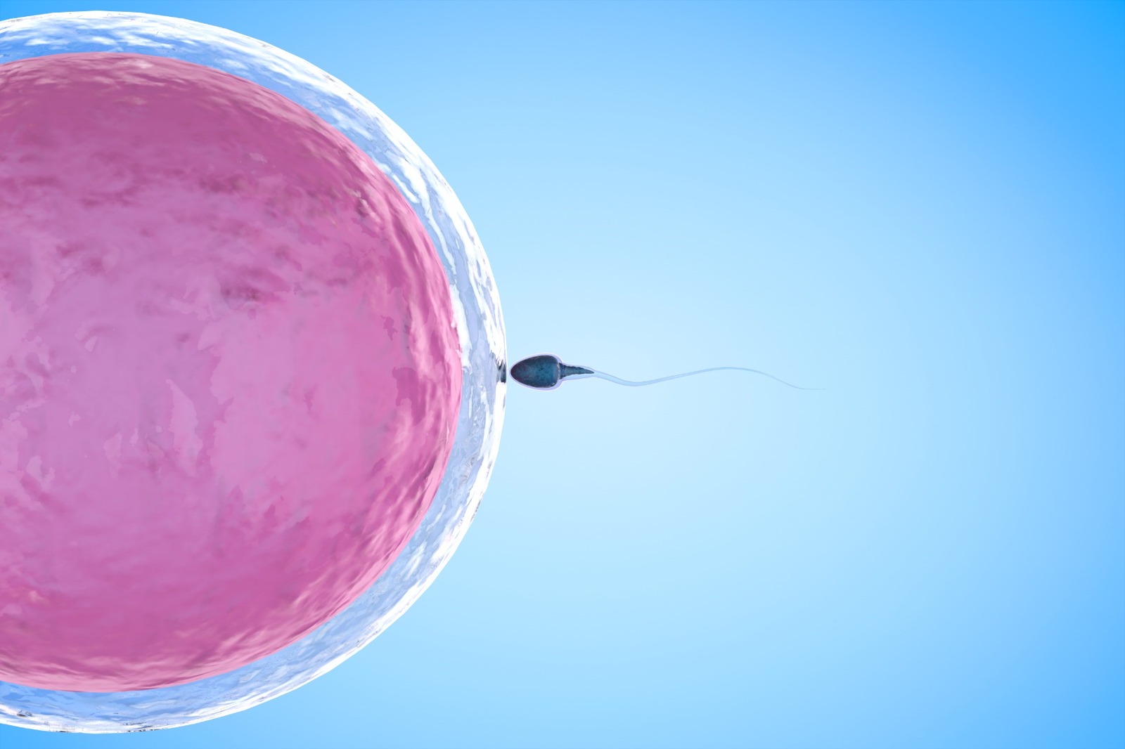 IVF